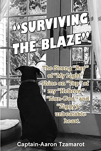 Surviving the Blaze: The Strong Ray of My Light shine on Top of my Hebrew Lion-God and Ziggy's unbeatable heart.