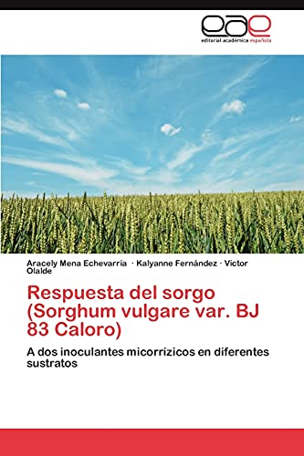 Respuesta del sorgo (Sorghum vulgare var. BJ 83 Caloro): A dos inoculantes micorrízicos en diferentes sustratos