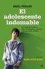 El adolescente indomable : estrategias para padres : cómo no desesperar y aprender a solucionar los conflictos (Bolsillo (la Esfera))