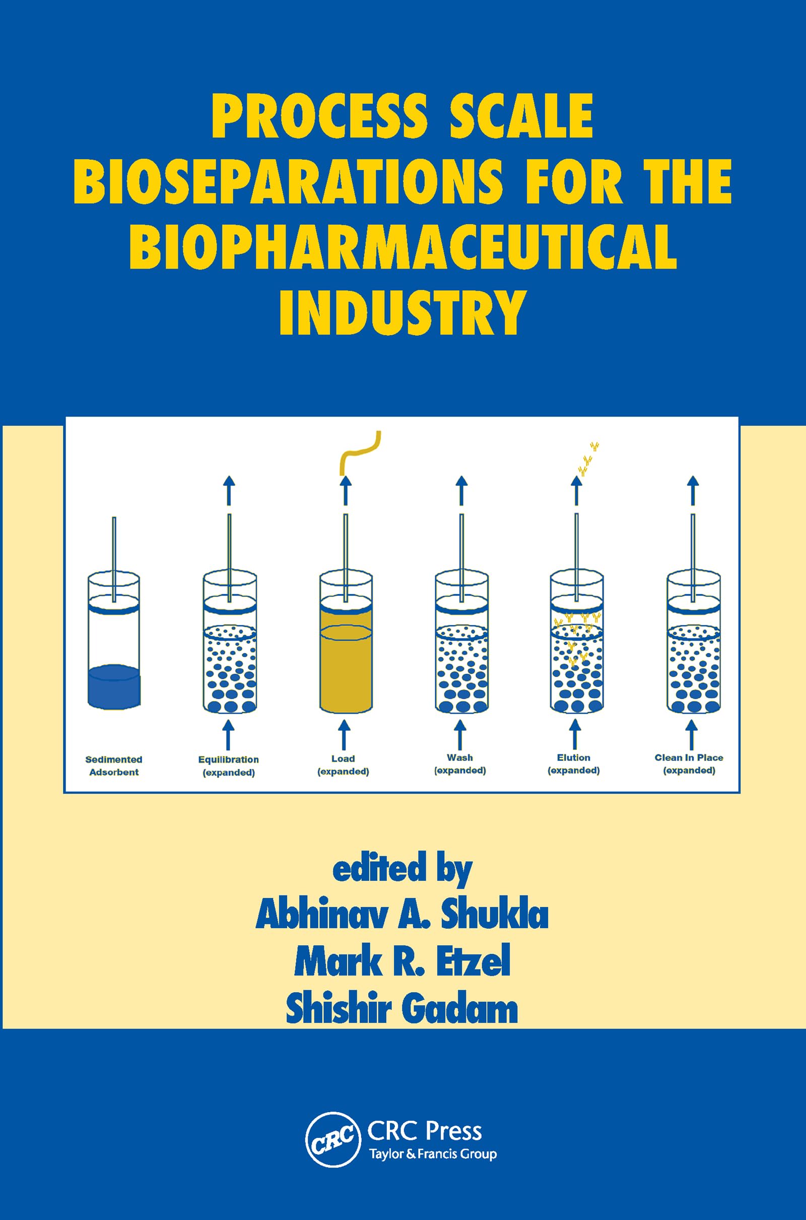 Process Scale Bioseparations for the Biopharmaceutical Industry (Biotechnology and Bioprocessing)