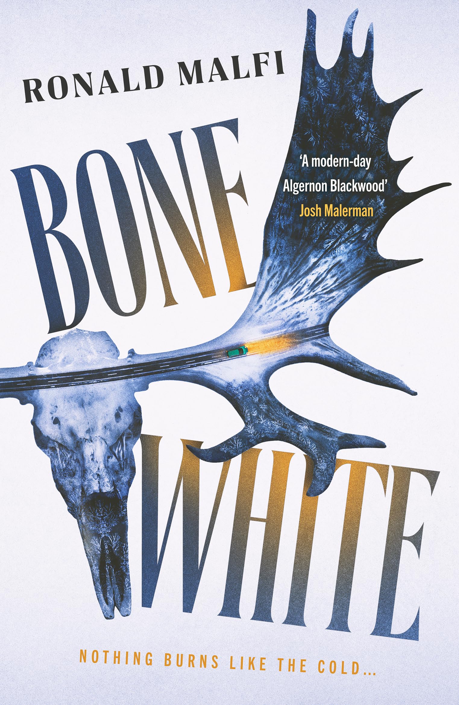 Ronald Malfi Bone White, A Gripping Suspenseful Horror Thriller