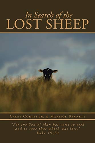 In Search of the Lost Sheep: For the Son of Man has come to seek and to save that which was lost. Luke 19:10