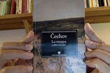 La steppa e altri racconti (Oscar classici) von Cechov, Anton | Buch | Zustand sehr gut