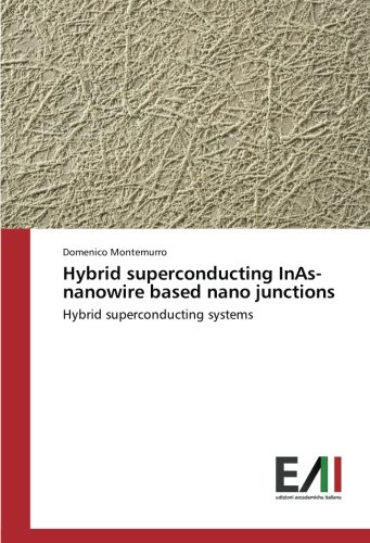 Hybrid superconducting InAs-nanowire based nano junctions: Hybrid superconducting systems