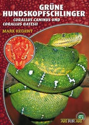 Grüne Hundskopfschlinger: Corallus caninus und Corallus batesii