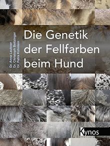 Die Genetik der Fellfarben beim Hund