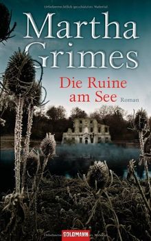 Die Ruine am See: Roman