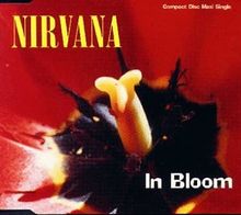 In bloom von Nirvana | CD | Zustand sehr gut