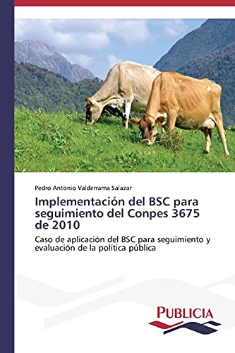Implementación del BSC para seguimiento del Conpes 3675 de 2010: Caso de aplicación del BSC para seguimiento y evaluación de la política pública