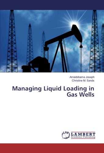 Managing Liquid Loading in Gas Wells