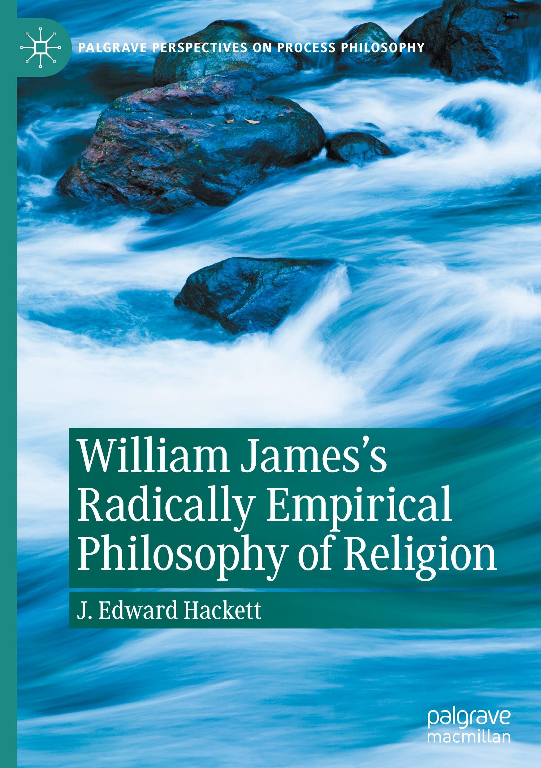 William James's Radically Empirical Philosophy of Religion (Palgrave Perspectives on Process Philosophy)