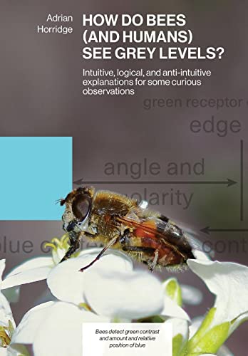 HOW DO BEES (AND HUMANS) SEE GREY LEVELS?: Intuitive, logical, and anti-intuitive explanations for some curious observations