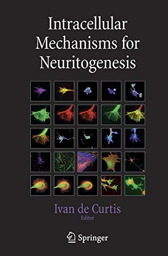 Intracellular Mechanisms for Neuritogenesis
