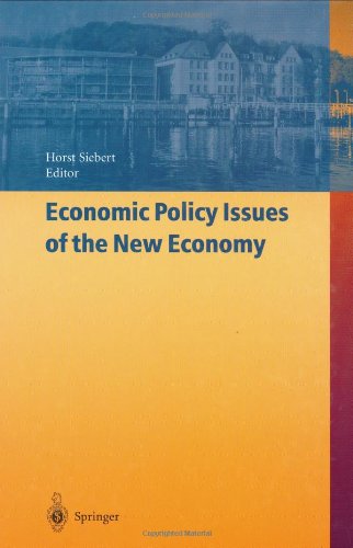 Economic Policy Issues of the New Economy