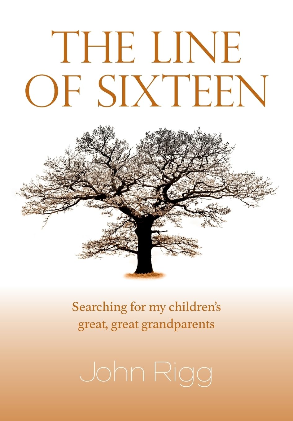 The Line of Sixteen: Searching for my children’s great, great grandparents