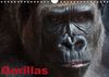 Gorillas/Geburtstagskalender (Wandkalender immerwährend DIN A4 quer)