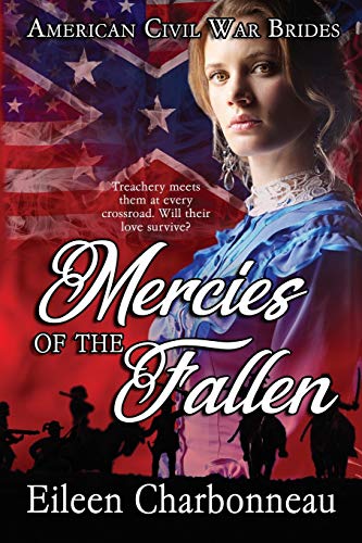 Mercies of the Fallen (American Civil War Brides, Band 2)
