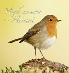 Vögel unserer Heimat 2021: Aufstellbarer Postkartenkalender mit Bildern von Vögeln in der Natur der Heimat. Tisch- und Wandkalender.