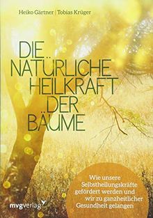 Die natürliche Heilkraft der Bäume: Wie unsere Selbstheilungskräfte gefördert werden und wir zu ganzheitlicher Gesundheit gelangen