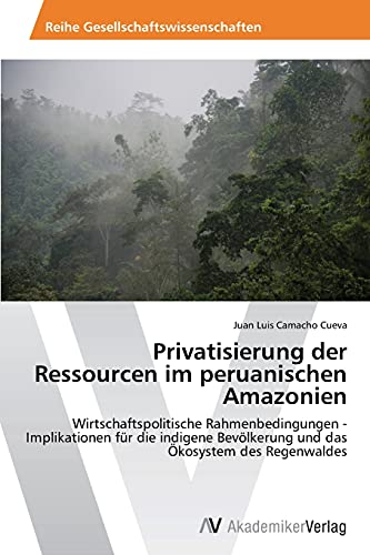 Privatisierung der Ressourcen im peruanischen Amazonien: Wirtschaftspolitische Rahmenbedingungen -Implikationen für die indigene Bevölkerung und das Ökosystem des Regenwaldes