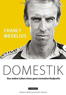 Domestik