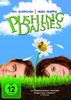 Pushing Daisies - Staffel 1 [3 DVDs]