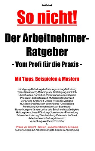 Der Arbeitnehmer-Ratgeber: Vom Profi für die Praxis (So nicht!, Band 2)