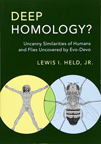 Deep Homology?: Uncanny Similarities of Humans and Flies Uncovered by Evo-Devo