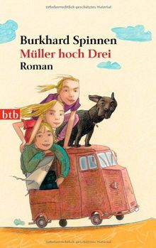 Müller hoch Drei: Roman