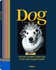 Tein Lucasson, Dog, Porträts von 88 Hunden und einem kleinen, frechen Kaninchen (Deutsch, Englisch, Italienisch): Portraits of Eighty-Eight Dogs and One Little Naughty Rabbit (Photography)