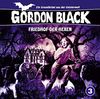 Gordon Black 3 - Friedhof der Hexen (Ein Gruselkrimi aus der Geisterwelt)