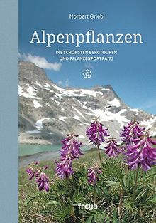 Alpenpflanzen: Die schönsten Bergtouren und Pflanzenportraits
