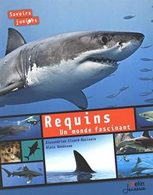Requins, un monde fascinant