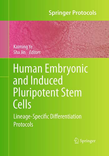 Human Embryonic and Induced Pluripotent Stem Cells: Lineage-Specific Differentiation Protocols (Springer Protocols Handbooks)