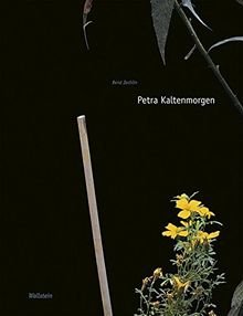 Petra Kaltenmorgen (Kunst der Gegenwart aus Niedersachsen)