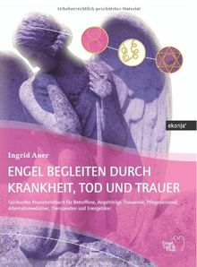 Engel begleiten durch Krankheit, Tod und Trauer von Auer, Ingrid | Buch | Zustand gut