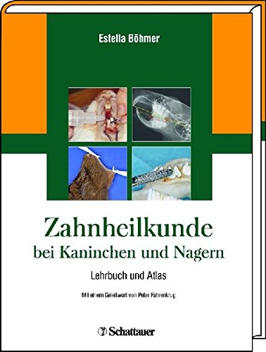 Zahnheilkunde bei Kaninchen und Nagern - Estella Böhmer Gebunden