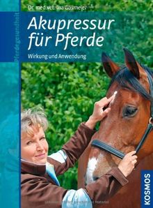 Akupressur für Pferde: Wirkung und Anwendung