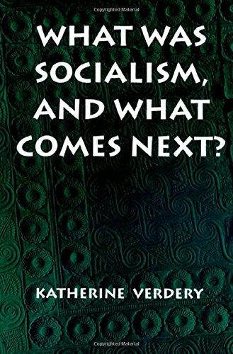 What Was Socialism, and What Comes Next? (Princeton Studies in Culture/Power/History)