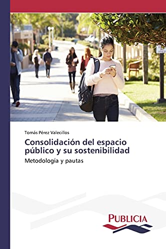 Consolidación del espacio público y su sostenibilidad: Metodología y pautas
