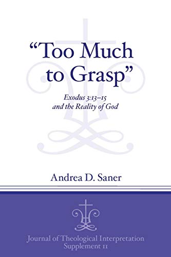 Too Much to Grasp: Exodus 3:13-15 and the Reality of God (Journal of Theological Interpretation, Band 11)
