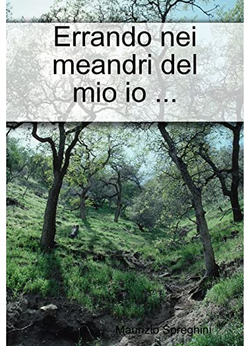 Errando Nei Meandri Del Mio Io . . .