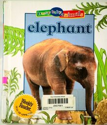 Elephant (Busy Baby Animals)