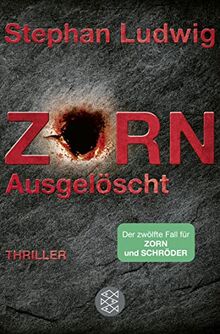 Zorn - Ausgelöscht: Thriller