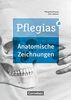 Pflegias - Generalistische Pflegeausbildung - Zu allen Bänden: Arbeitsheft Anatomie