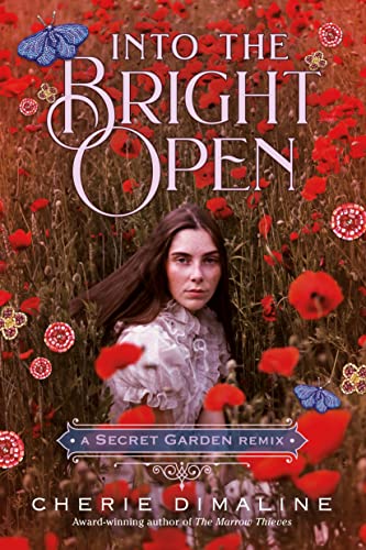 Into the Bright Open: A Secret Garden Remix (Remixed Classics, Band 8)