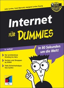 Internet für Dummies