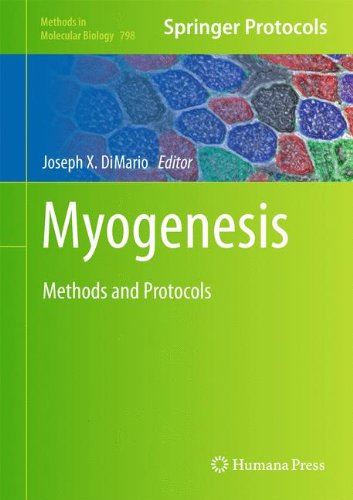 Myogenesis: Methods and Protocols (Methods in Molecular Biology)