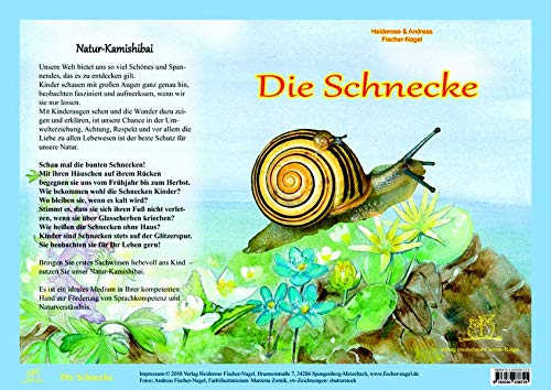 Die Schnecke - Natur-Kamishibai