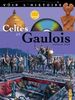 Celtes et gaulois (1DVD)